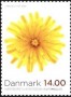 植物:欧洲:丹麦:dk201203.jpg