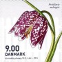 植物:欧洲:丹麦:dk201401.jpg