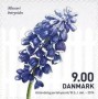 植物:欧洲:丹麦:dk201402.jpg