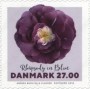 植物:欧洲:丹麦:dk201802.jpg