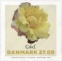 植物:欧洲:丹麦:dk201803.jpg