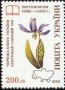 植物:欧洲:乌克兰:ua199401.jpg
