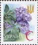 植物:欧洲:乌克兰:ua200204.jpg