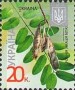 植物:欧洲:乌克兰:ua201107.jpg