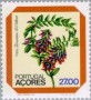 植物:欧洲:亚速尔群岛:pta198203.jpg