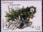 植物:欧洲:亚速尔群岛:pta200206.jpg