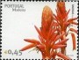 植物:欧洲:亚速尔群岛:pta200602.jpg