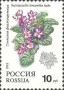 植物:欧洲:俄罗斯:ru199301.jpg