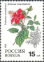 植物:欧洲:俄罗斯:ru199302.jpg