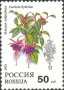 植物:欧洲:俄罗斯:ru199304.jpg