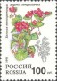 植物:欧洲:俄罗斯:ru199305.jpg