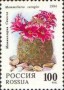 植物:欧洲:俄罗斯:ru199402.jpg