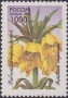 植物:欧洲:俄罗斯:ru199604.jpg