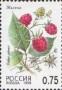 植物:欧洲:俄罗斯:ru199802.jpg
