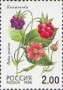 植物:欧洲:俄罗斯:ru199805.jpg
