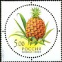 植物:欧洲:俄罗斯:ru200306.jpg