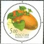 植物:欧洲:俄罗斯:ru200308.jpg