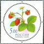 植物:欧洲:俄罗斯:ru200310.jpg