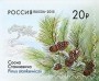 植物:欧洲:俄罗斯:ru201501.jpg