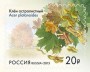 植物:欧洲:俄罗斯:ru201503.jpg