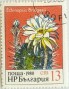 植物:欧洲:保加利亚:bg198002.jpg
