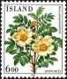 植物:欧洲:冰岛:is198401.jpg