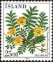 植物:欧洲:冰岛:is198402.jpg