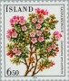 植物:欧洲:冰岛:is198403.jpg