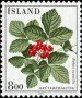 植物:欧洲:冰岛:is198501.jpg