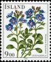 植物:欧洲:冰岛:is198502.jpg