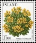 植物:欧洲:冰岛:is198504.jpg
