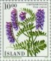 植物:欧洲:冰岛:is198801.jpg