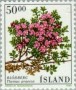 植物:欧洲:冰岛:is198802.jpg