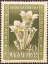 植物:欧洲:匈牙利:hu195002.jpg