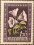 植物:欧洲:匈牙利:hu195005.jpg