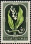 植物:欧洲:匈牙利:hu195102.jpg