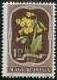 植物:欧洲:匈牙利:hu195105.jpg