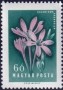 植物:欧洲:匈牙利:hu195804.jpg