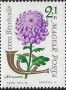 植物:欧洲:匈牙利:hu196304.jpg
