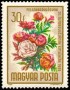 植物:欧洲:匈牙利:hu196502.jpg