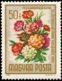 植物:欧洲:匈牙利:hu196503.jpg
