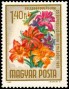 植物:欧洲:匈牙利:hu196505.jpg