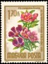 植物:欧洲:匈牙利:hu196506.jpg