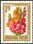 植物:欧洲:匈牙利:hu196507.jpg