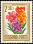 植物:欧洲:匈牙利:hu196508.jpg