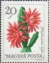 植物:欧洲:匈牙利:hu196510.jpg