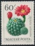 植物:欧洲:匈牙利:hu196512.jpg