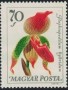 植物:欧洲:匈牙利:hu196513.jpg