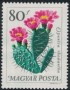 植物:欧洲:匈牙利:hu196514.jpg