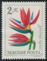 植物:欧洲:匈牙利:hu196517.jpg